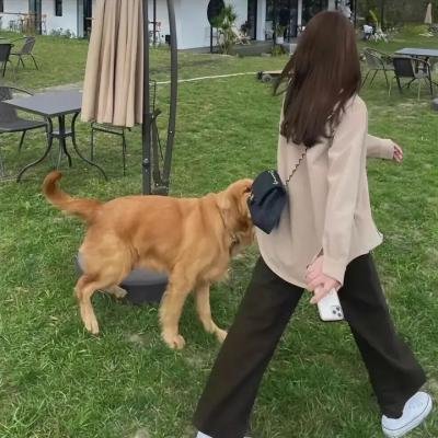 爱情是什么